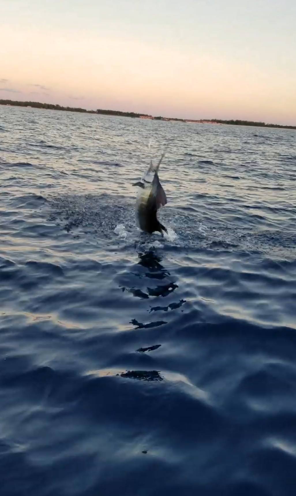 evening cruise Deerfield Beach FL